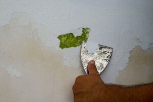 white plaster+1+1